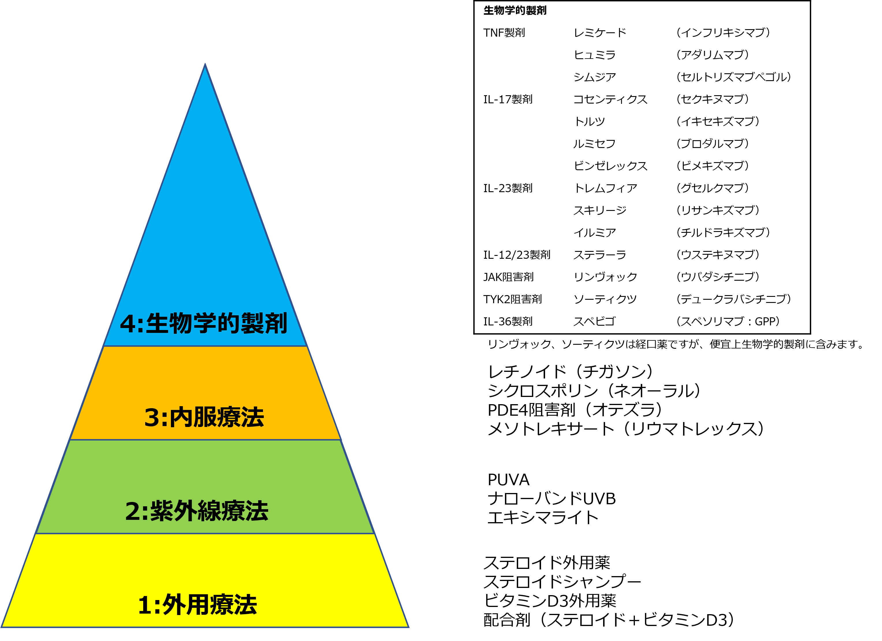 乾癬の治療概要