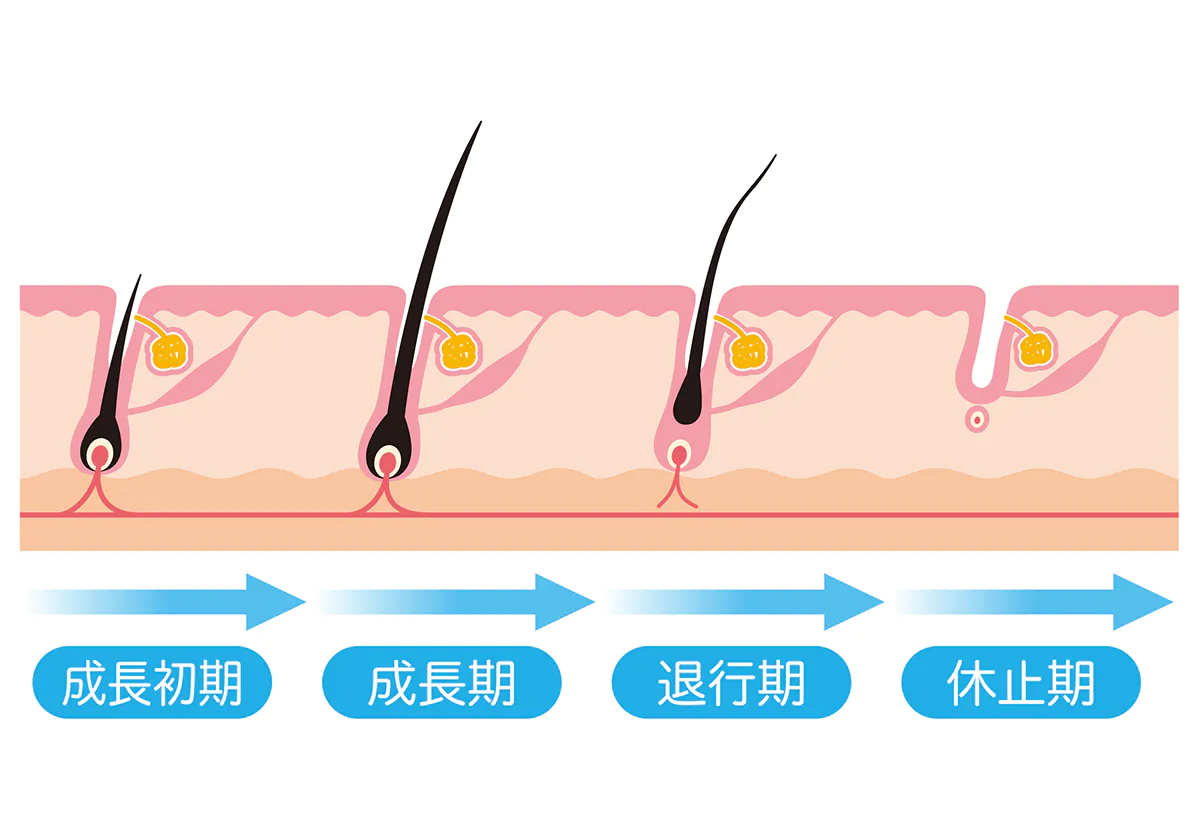 医療脱毛「FORMAΑ」は何回目から脱毛効果が実感できる？