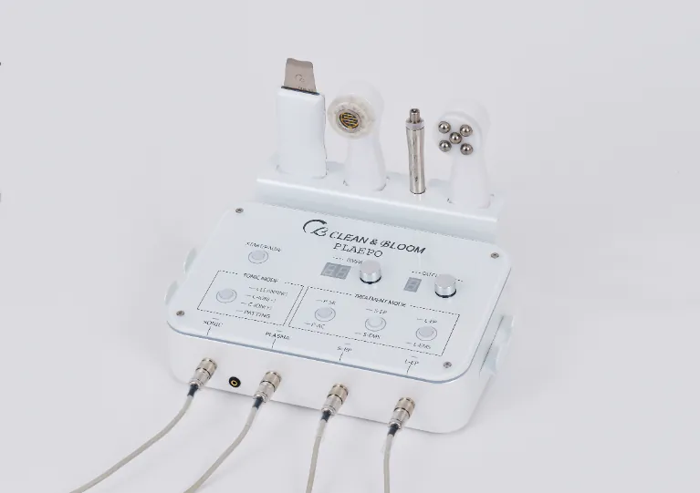 CLEAN & BLOOM PLAEPOとは